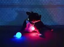 LED dog biting ball